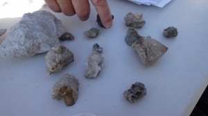 Specimens found during drilling